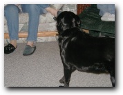 Ian's B-Day 2002 Pic